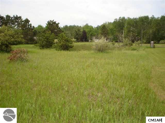 1049 Duquesa Lane, Lake Isabella MI 48893 photo 1