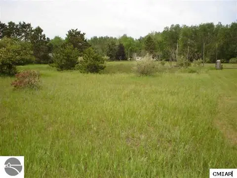 1049 Duquesa Lane, Lake Isabella MI 48893 photo 1
