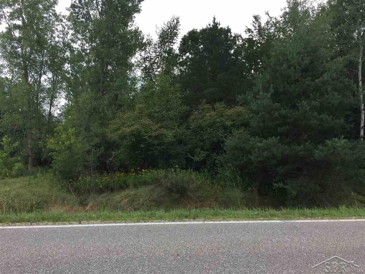 1166 E Freeland Road, Merrill MI 48637 photo 1
