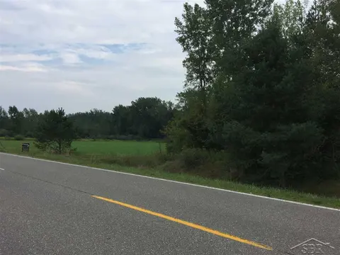 1166 E Freeland Road, Merrill MI 48637 photo 5