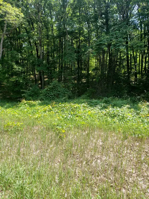 Auburn listing photo 1