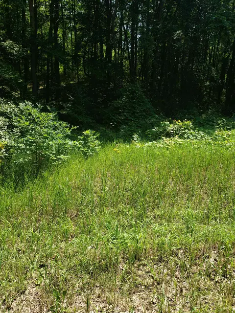 Auburn listing photo 3