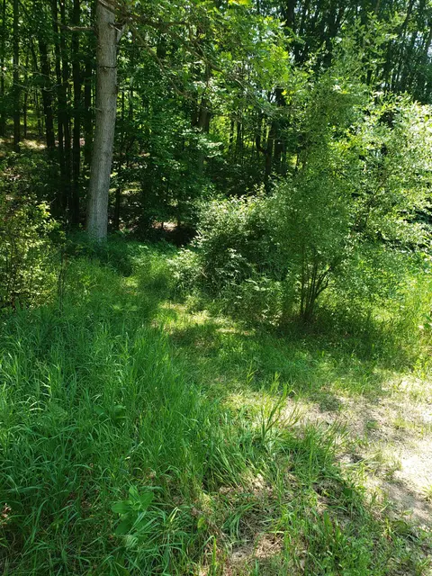 Auburn listing photo 4