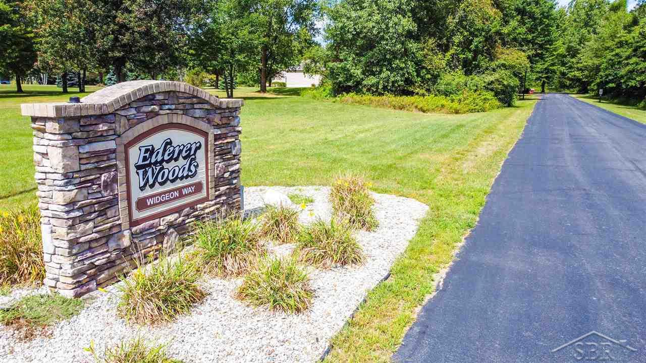 16600 Ederer Road, Hemlock MI 48626 photo 1