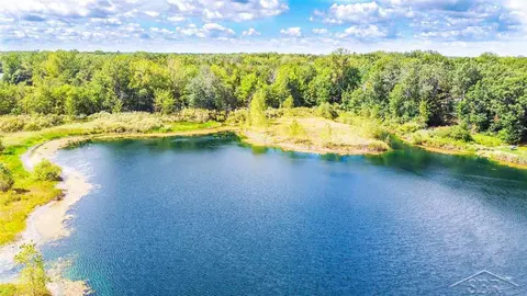 16600 Ederer Road, Hemlock MI 48626 photo 3