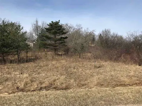 291 Track Iron Trail, Gladwin MI 48624 photo 1