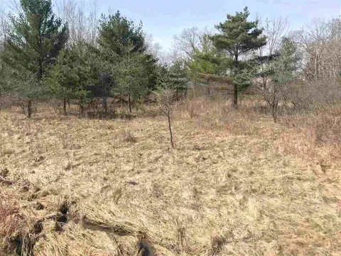 291 Track Iron Trail, Gladwin MI 48624 photo 2