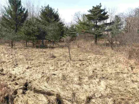 291 Track Iron Trail, Gladwin MI 48624 photo 3