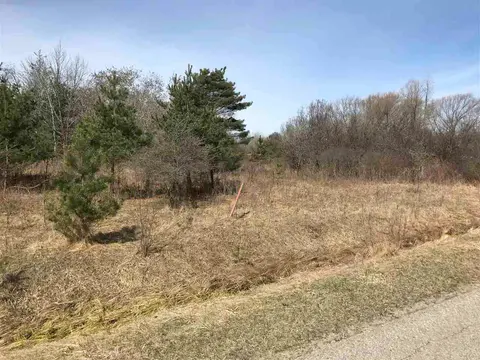 291 Track Iron Trail, Gladwin MI 48624 photo 4