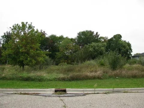 TBD Mcguirk Drive, Clare MI 48617 photo 3