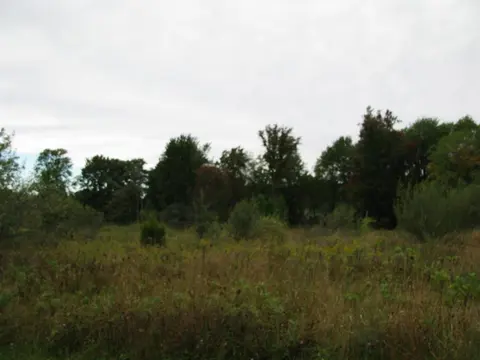 TBD Mcguirk Drive, Clare MI 48617 photo 4