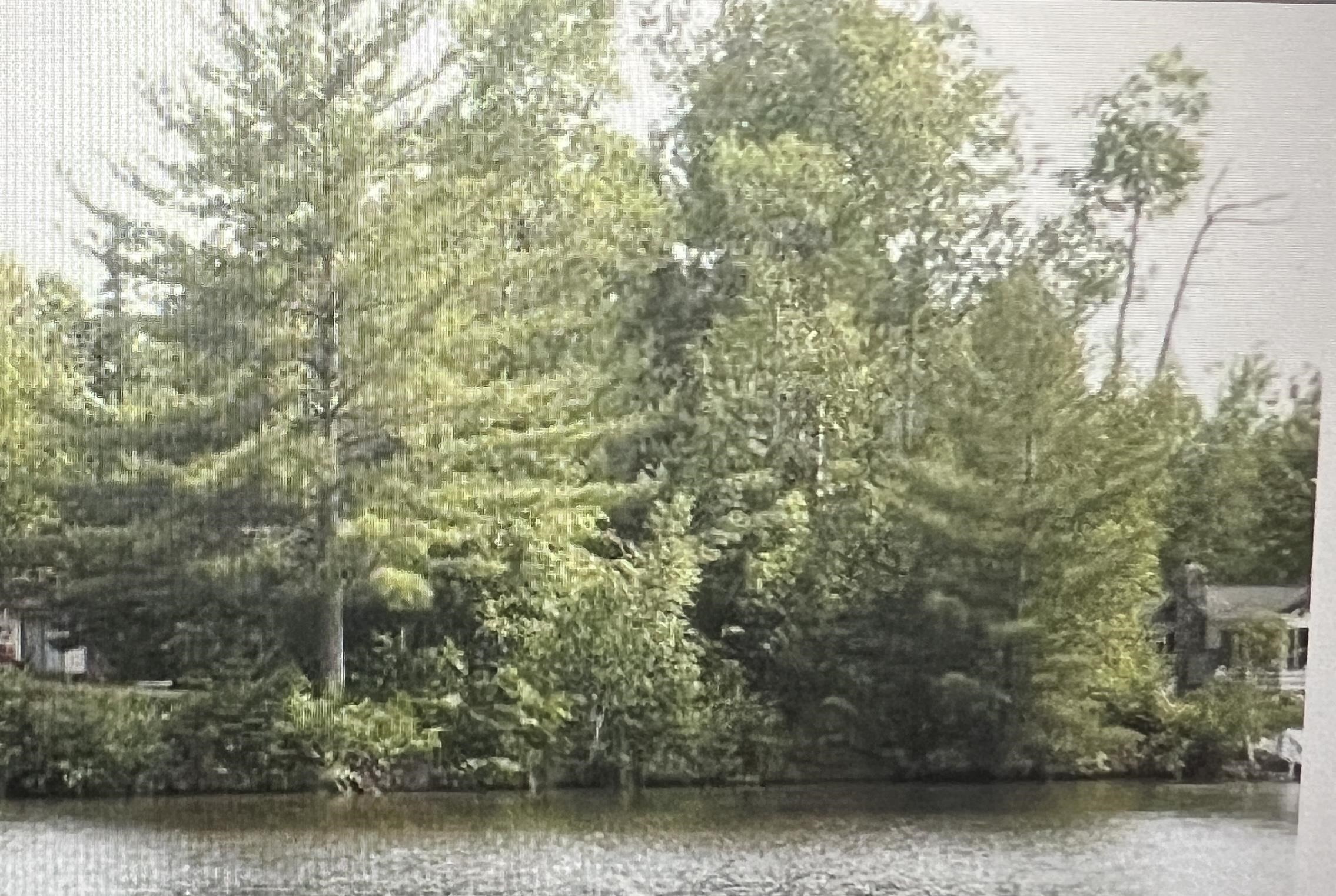 Lot 31 Nokomis Street, Gladwin MI 48624 photo 1