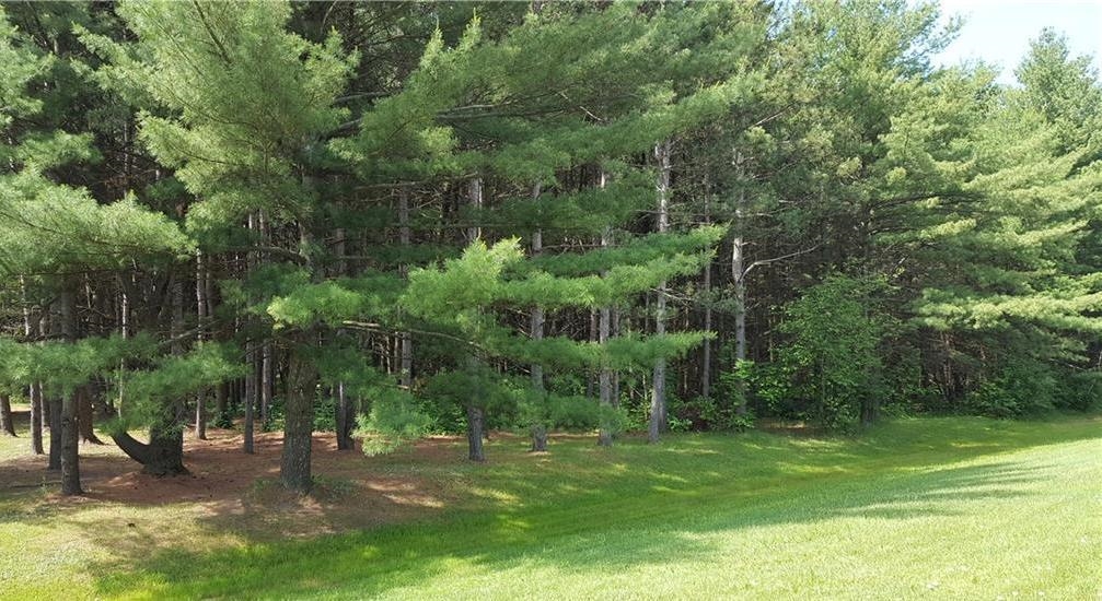 S Washburn Road, Mayville MI 48768 photo 1