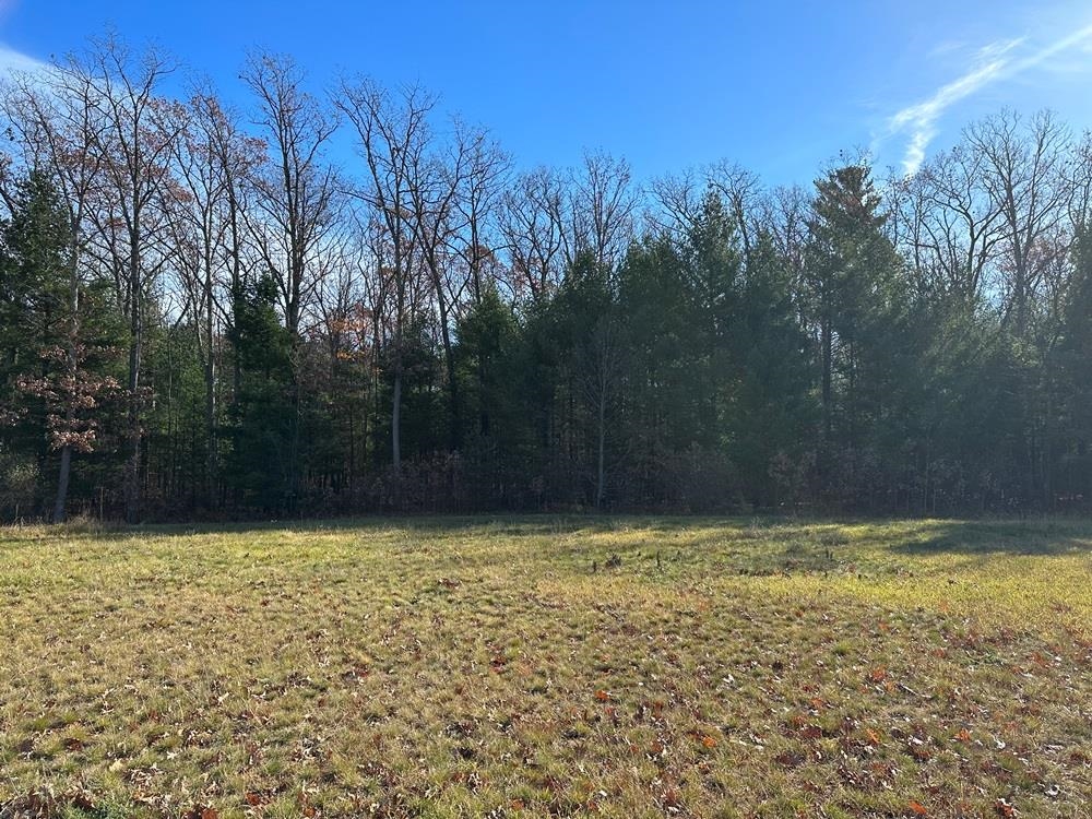 Auburn listing photo 1