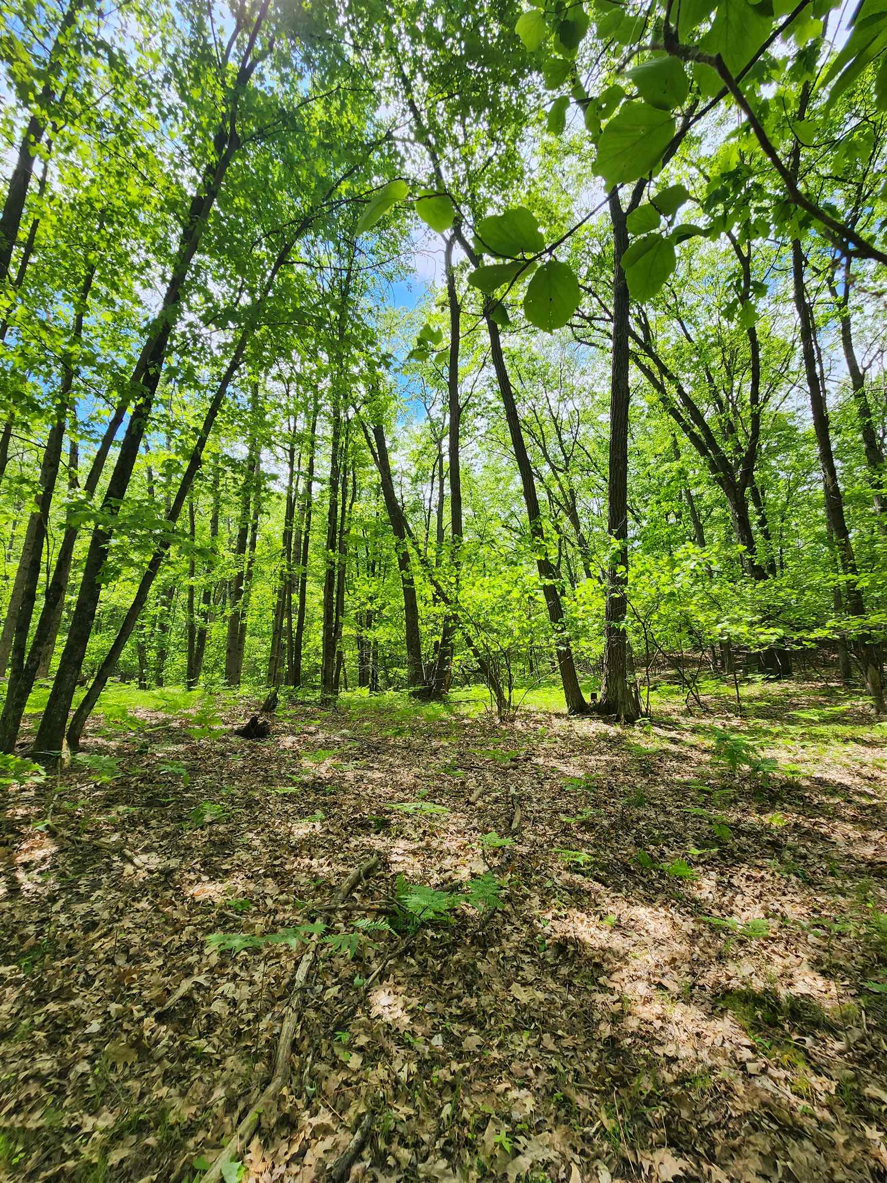 Lot 827 Hemlock Lane, Farwell MI 48622 photo 1
