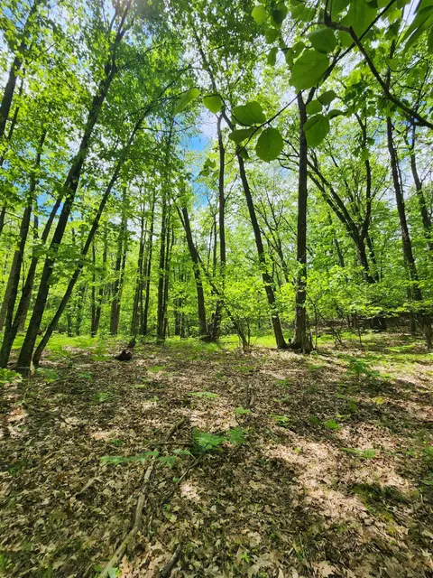 Lot 827 Hemlock Lane, Farwell MI 48622 photo 1