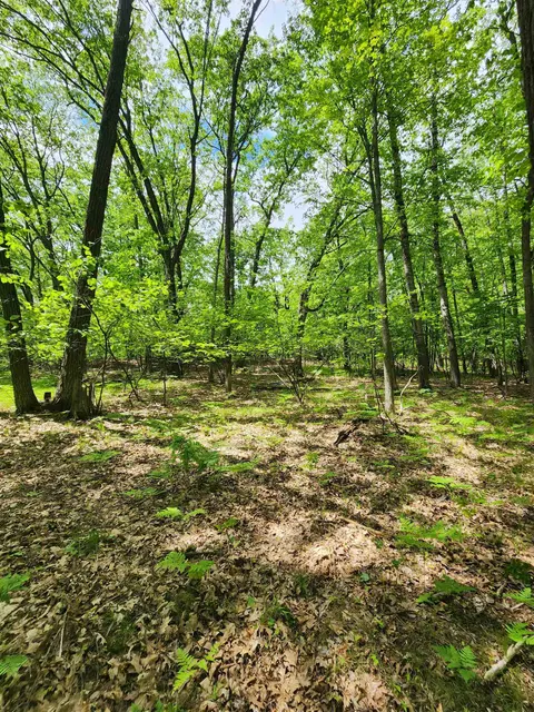 Lot 827 Hemlock Lane, Farwell MI 48622 photo 2