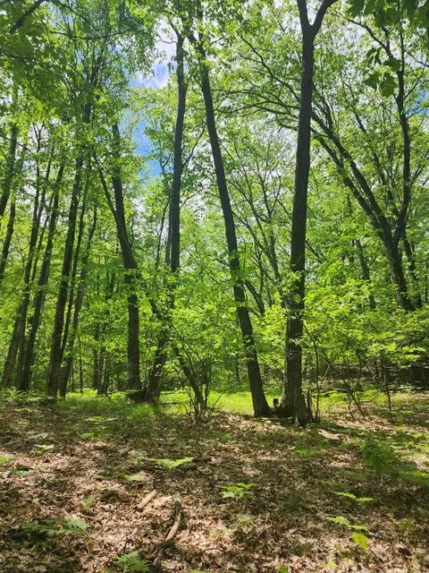 Lot 827 Hemlock Lane, Farwell MI 48622 photo 3