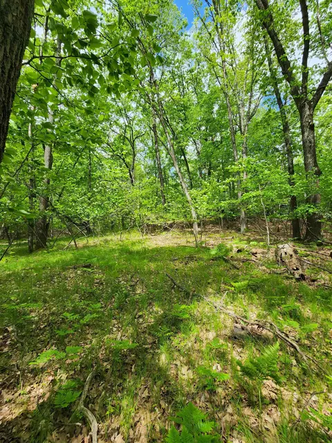 Lot 827 Hemlock Lane, Farwell MI 48622 photo 4