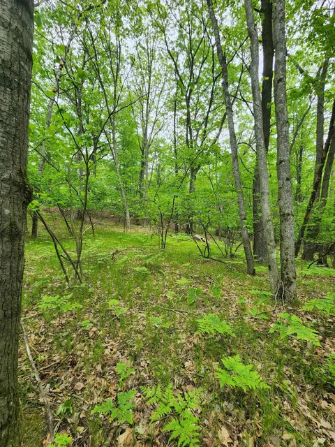 Lot 827 Hemlock Lane, Farwell MI 48622 photo 5