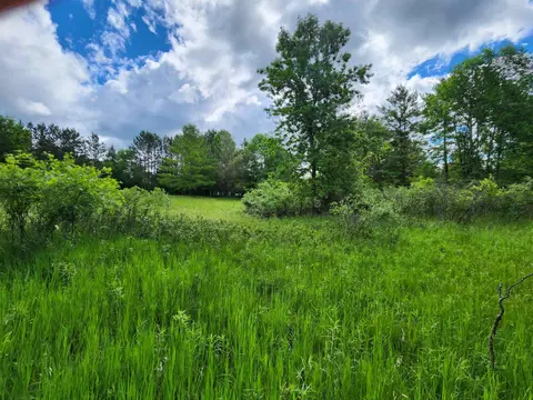 Lot 19 Huntington Circle, Gladwin MI 48624 photo 3