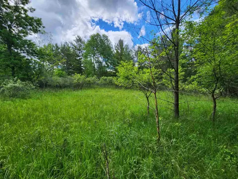 Lot 19 Huntington Circle, Gladwin MI 48624 photo 4