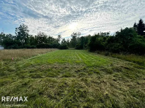 000 Sylvia Drive, Lexington Heights MI 48450 photo 4