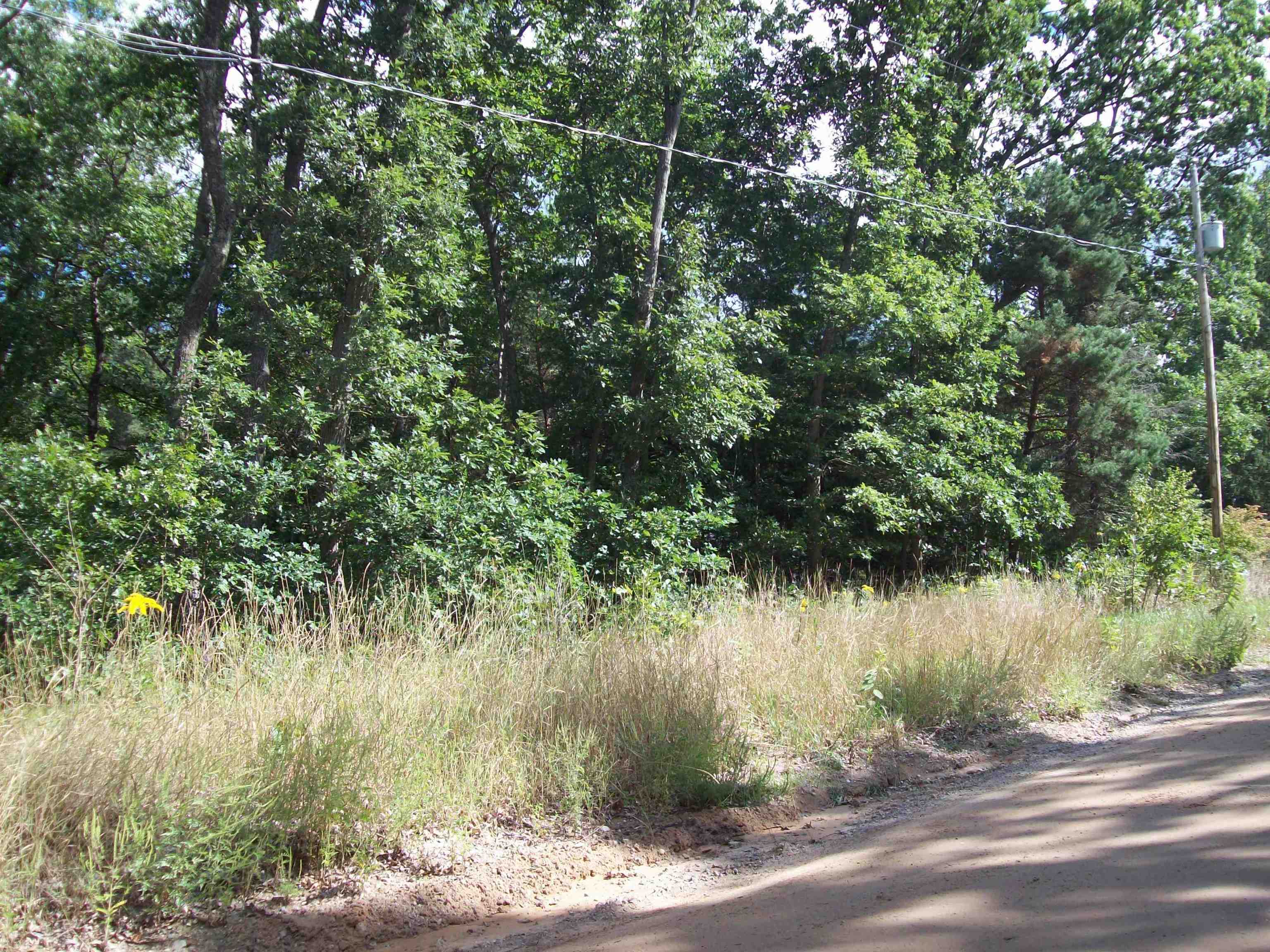 Lot 137 Maryland Street, Harrison MI 48625 photo 1