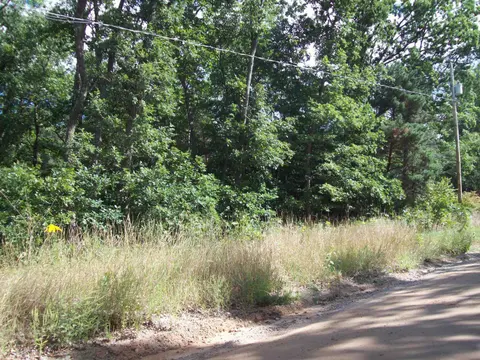 Lot 137 Maryland Street, Harrison MI 48625 photo 1
