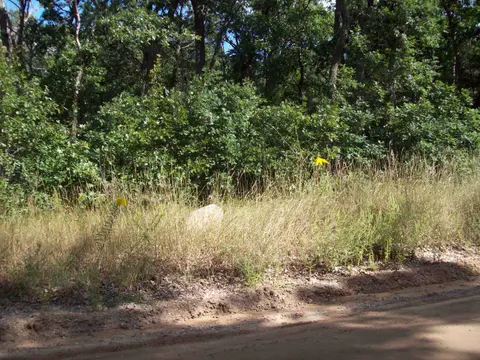 Lot 137 Maryland Street, Harrison MI 48625 photo 2
