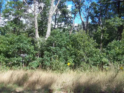 Lot 137 Maryland Street, Harrison MI 48625 photo 3