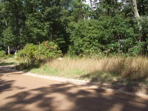 Lot 137 Maryland Street, Harrison MI 48625 photo 4