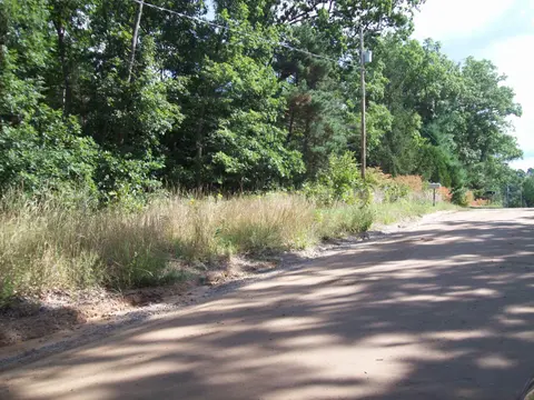 Lot 137 Maryland Street, Harrison MI 48625 photo 5
