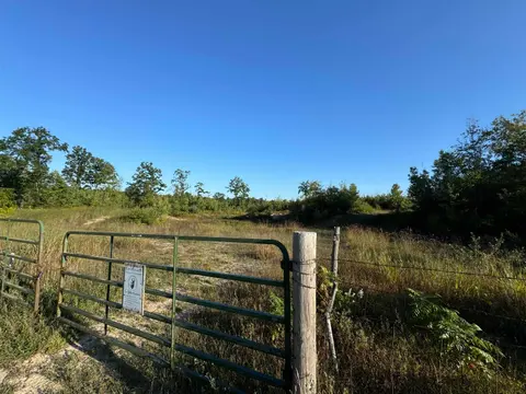TBD Mcgilvery Lake Road, Gladwin MI 48624 photo 2