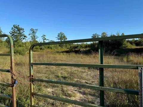 TBD Mcgilvery Lake Road, Gladwin MI 48624 photo 3