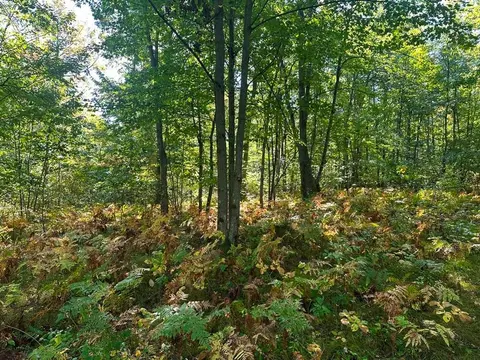 300-31 Easement Road, Harrison MI 48625 photo 2
