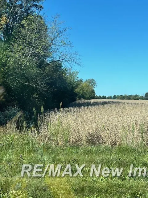 VL Bay Road, Saginaw MI 48604 photo 2