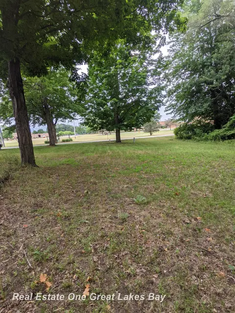 W Walnut Street, Saint Charles MI 48655 photo 1