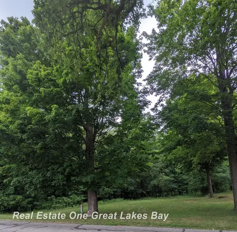 W Walnut Street, Saint Charles MI 48655 photo 2