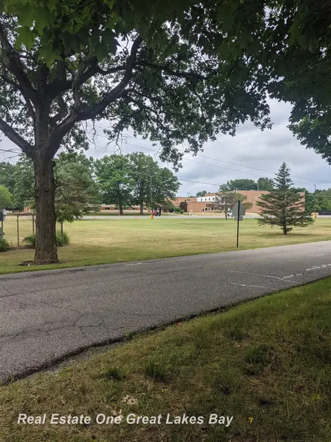 W Walnut Street, Saint Charles MI 48655 photo 3