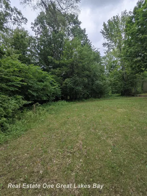 W Walnut Street, Saint Charles MI 48655 photo 4