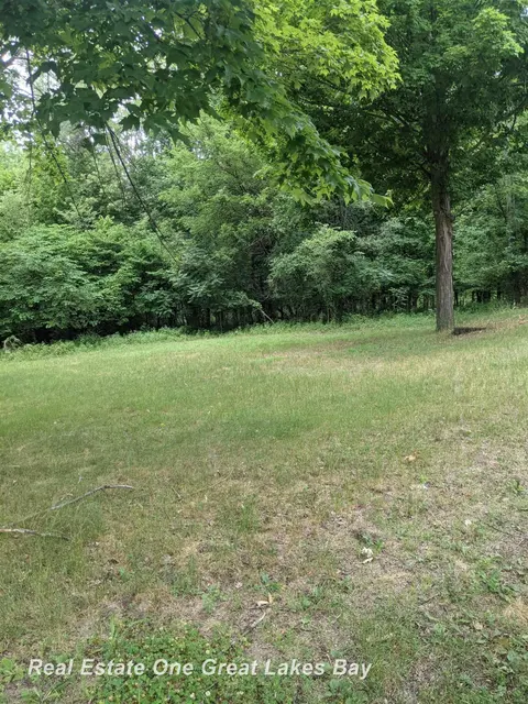 W Walnut Street, Saint Charles MI 48655 photo 5