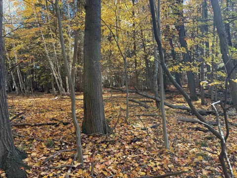 0 M-61 Highway, Standish MI 48658 photo 2