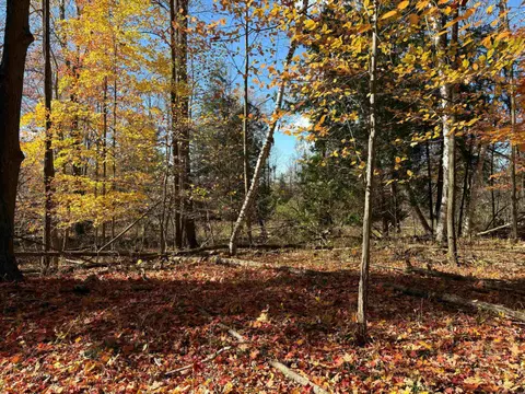 0 M-61 Highway, Standish MI 48658 photo 3