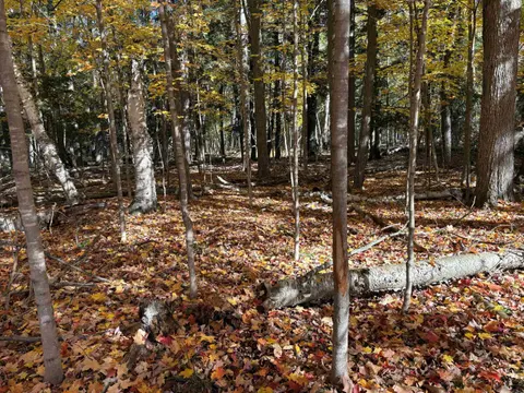 0 M-61 Highway, Standish MI 48658 photo 5