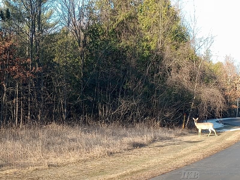 Lot 5 Castleview Court, Gladwin MI 48624 photo 1