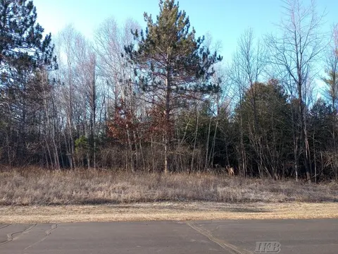 Lot 5 Castleview Court, Gladwin MI 48624 photo 4