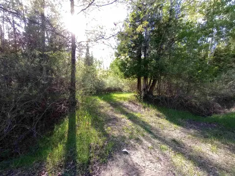 Lots 6-7 Brassie Court, Gladwin MI 48624 photo 2