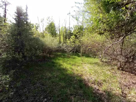 Lots 6-7 Brassie Court, Gladwin MI 48624 photo 3