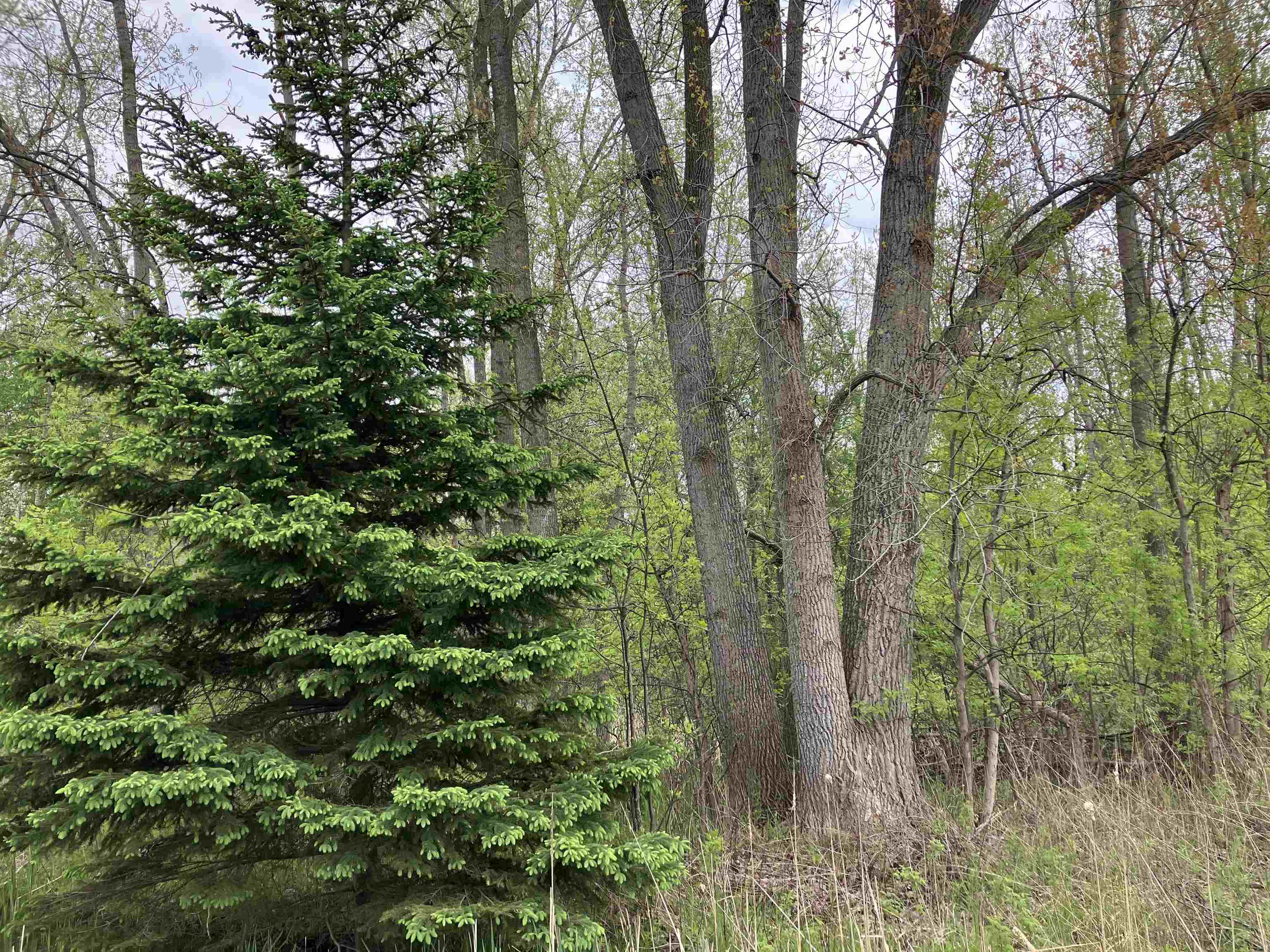 3.96 Acres W Isabella Road, Midland MI 48640 photo 1